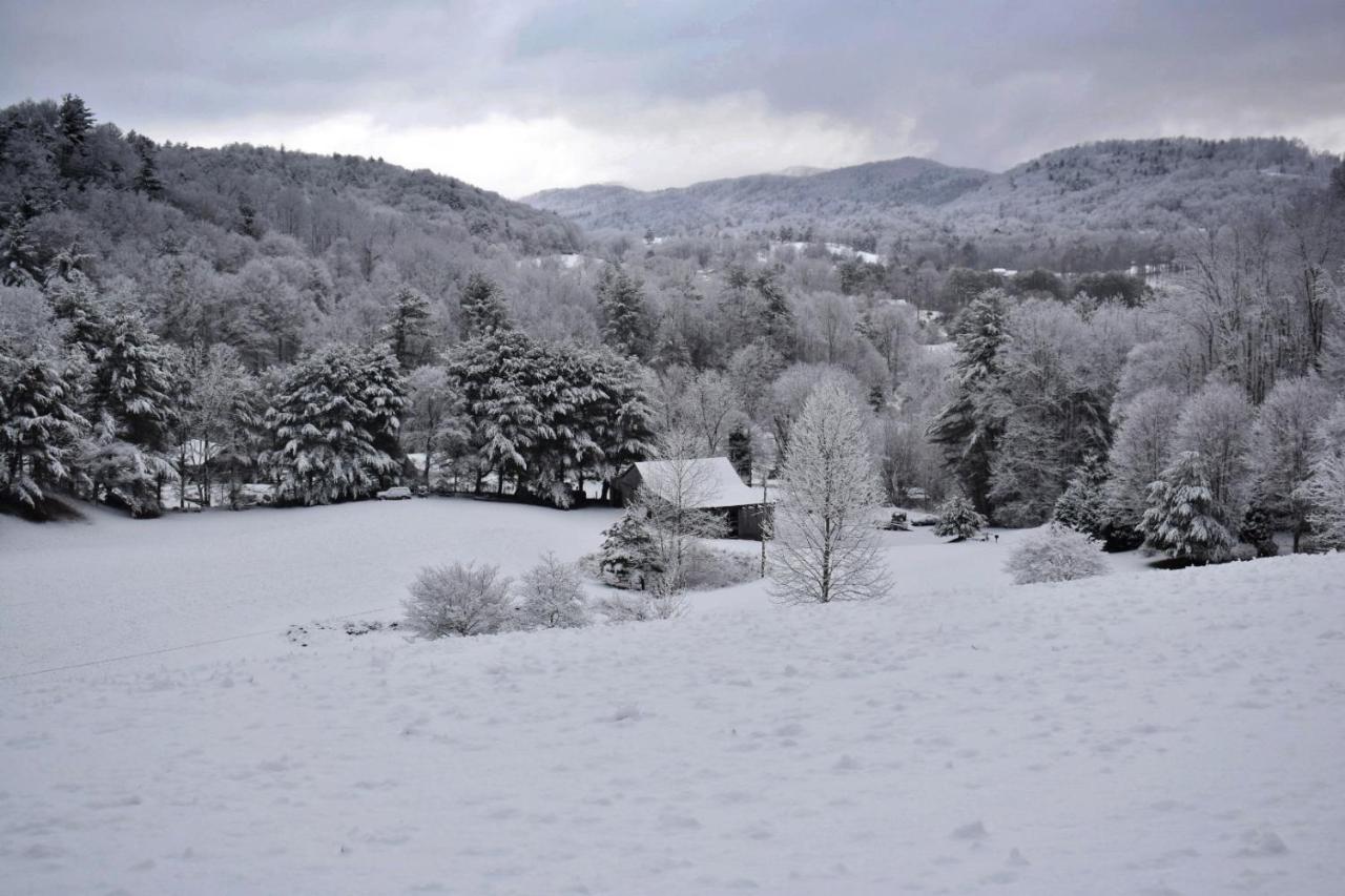 Iron Mountain Lodge - Beautiful Cabin With Forest & Mountain Views! Butler Kültér fotó