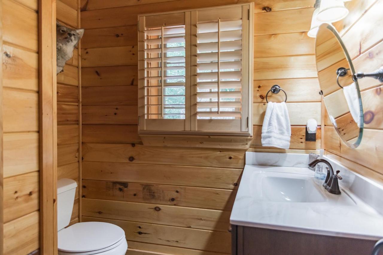 Iron Mountain Lodge - Beautiful Cabin With Forest & Mountain Views! Butler Kültér fotó